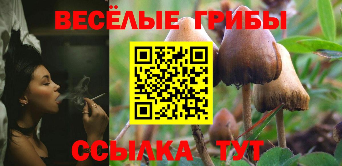 Псилоцибиновые грибы ЛСД Октябрьский